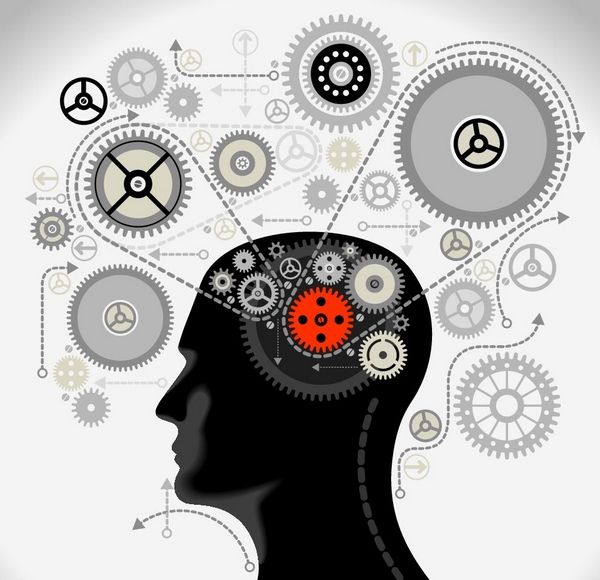 Cognitive Functions HAPPYneuron Pro